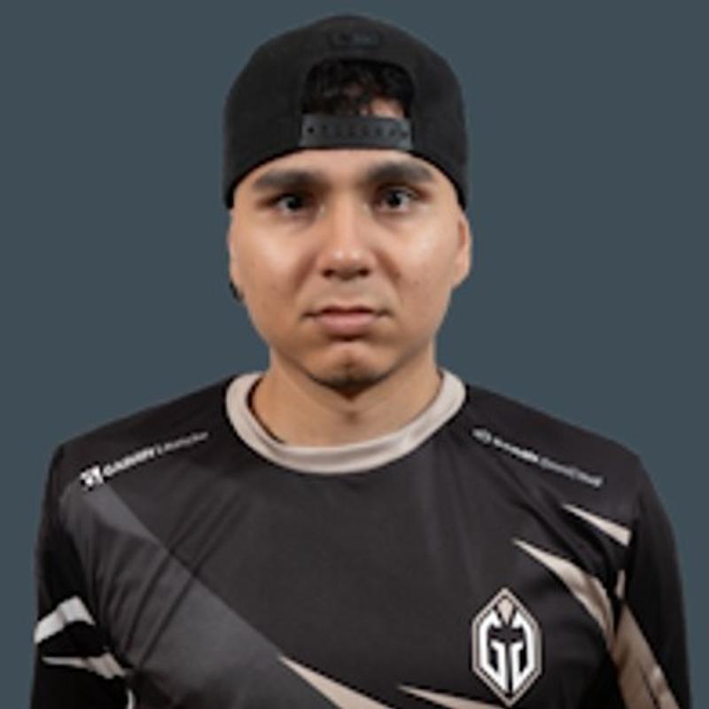 HEN1