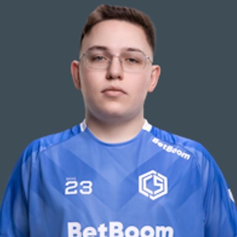 bl1x1