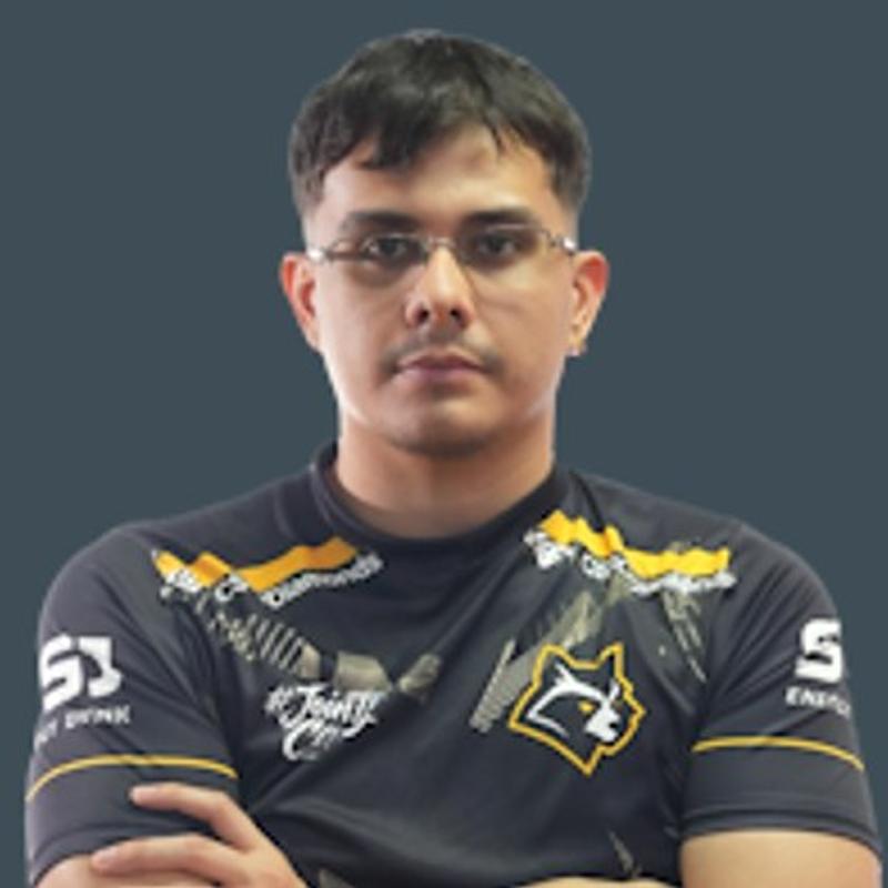lenci