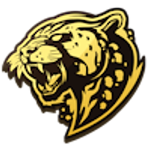 Bushido Wildcats